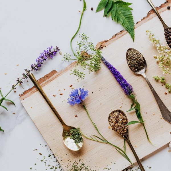 homéopathie les différentes plantes